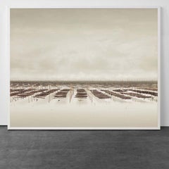 Seaweed Farm, South China Sea, China (Sepia)