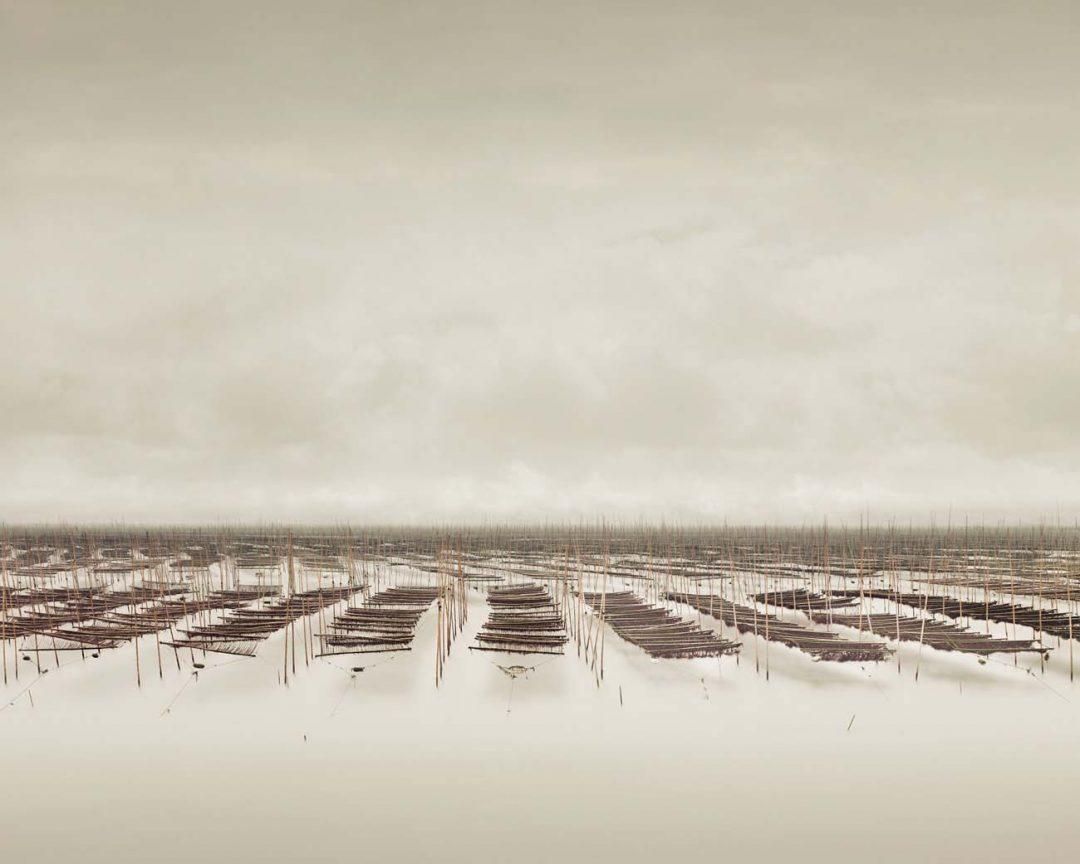 David Burdeny Color Photograph - Seaweed Farm, South China Sea, China (Sepia)