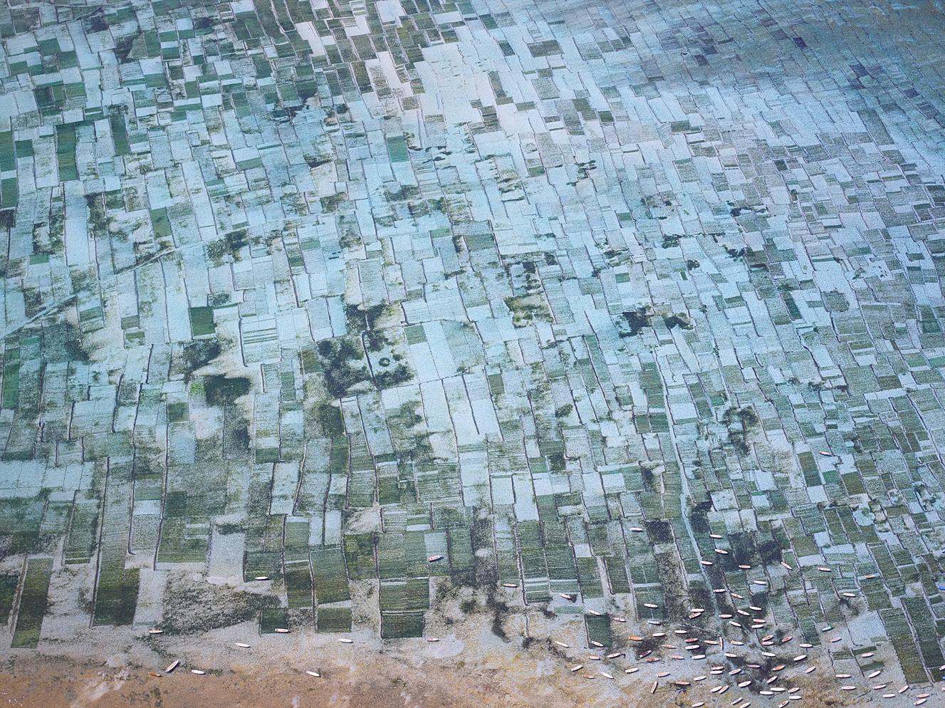 David Burdeny Landscape Print - Seaweed Farms II, Bali, Indonesia