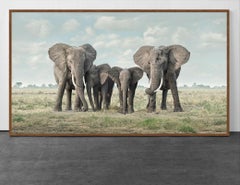 Solice, Amboseli, Kenya, Afrique