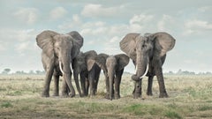 lice, Amboseli, Äthiopien, Afrika