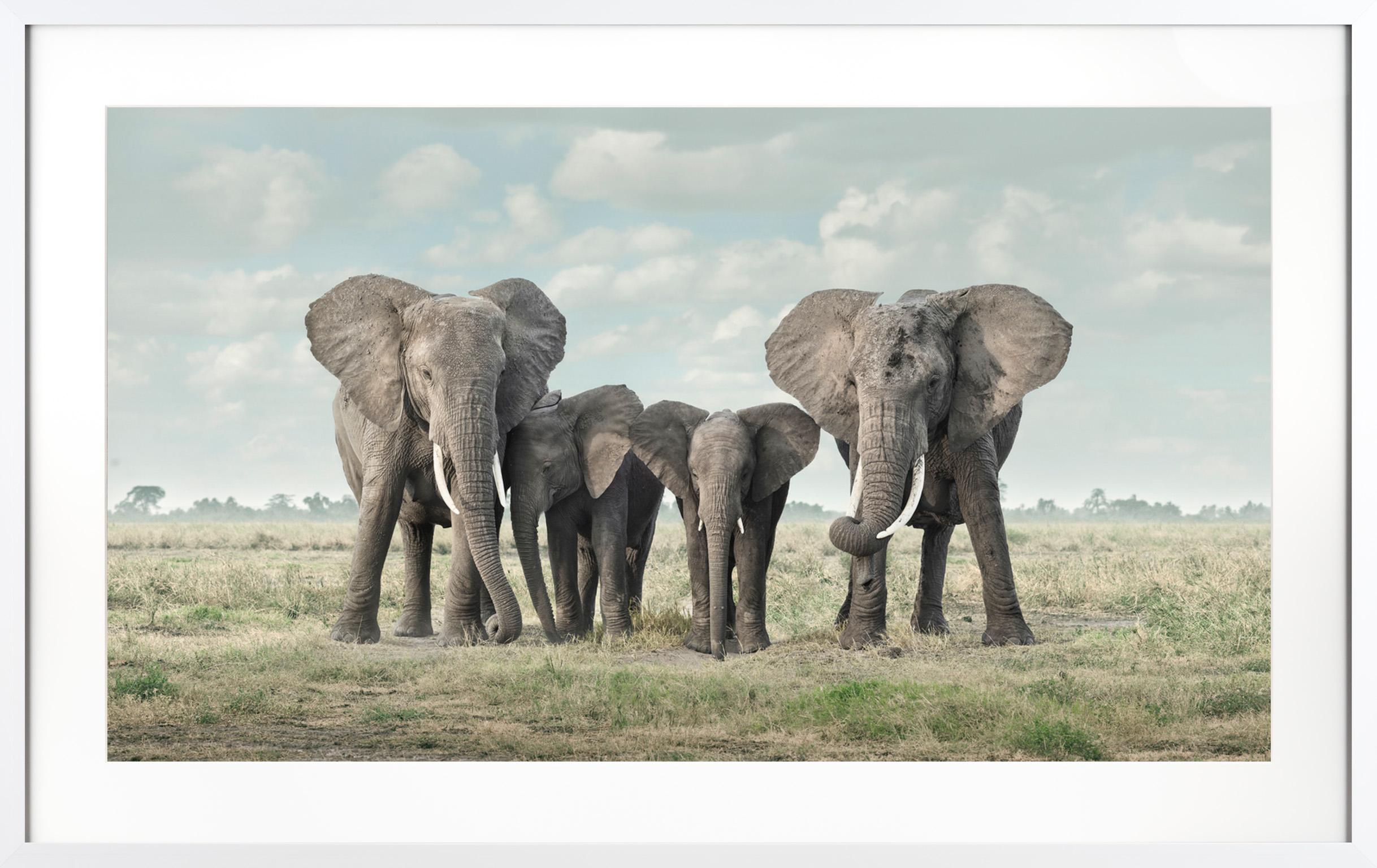 "Solice, Amboseli, Kenia" Zeitgenössische afrikanische Elefantenfamilie Gerahmte Fotografie