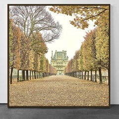Tuileries Garden, Paris, France (Color Photography)