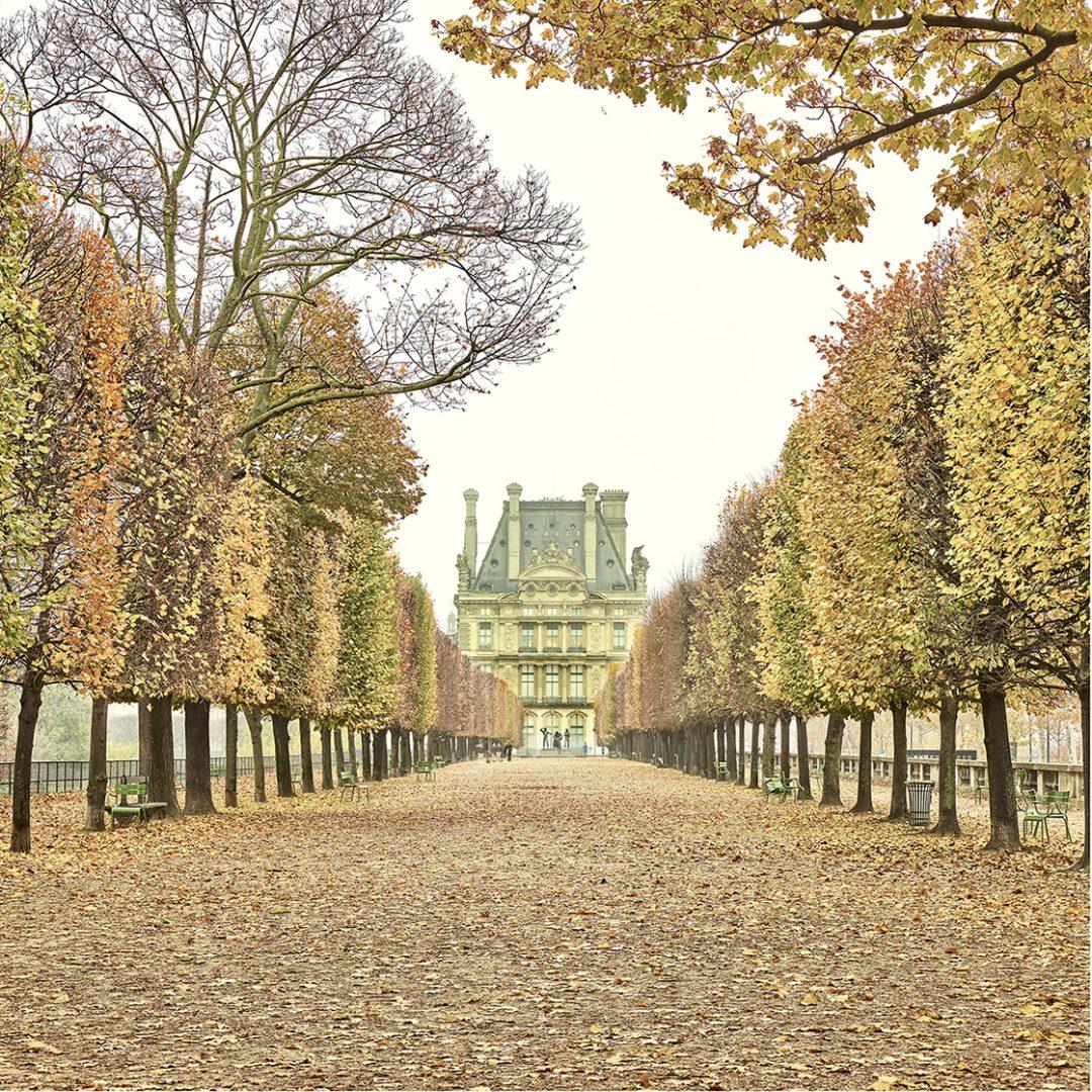 Tuileries Garden, Paris, France (Color Photography)