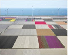 Tulips and Turbines 01, Noordoostpolder, Netherlands