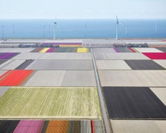 Tulips and Turbines 02, Noordoostpolder, Netherlands