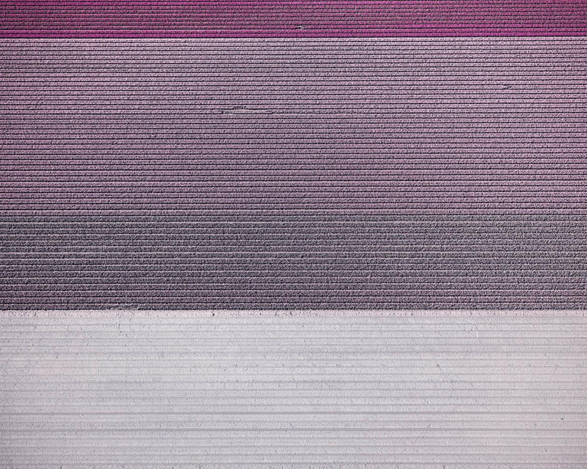 David Burdeny Color Photograph - Veld 1