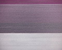 Feld 1