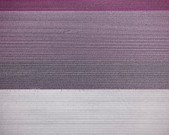 Veld 1, Noordoostpolder, Flevoland, Niederlande, 2016