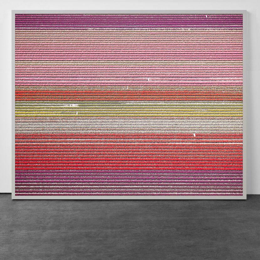 Color Photograph de David Burdeny - Veld 11, Noordoostpolder, Flevoland, Países Bajos, 2016