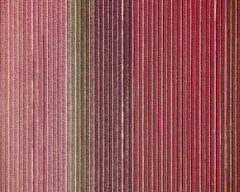 Veld 12, Noordoostpolder, Flevoland, The Netherlands, 2016