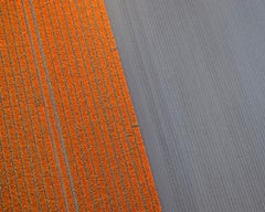 Veld 16, Noordoostpolder, Flevoland, The Netherlands, 2016