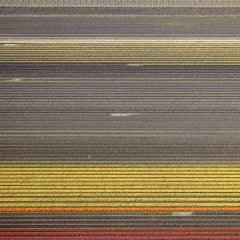 VELD 17, Noordoostpolder Flevoland, The Netherlands