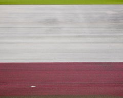 VELD 2 Noordoostpolder Flevoland, Framed Archival Pigment Print, 21x26