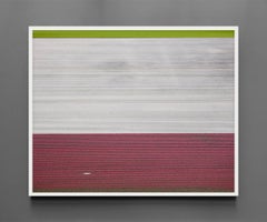VELD 2 Noordoostpolder Flevoland, Framed Archival Print, 2016