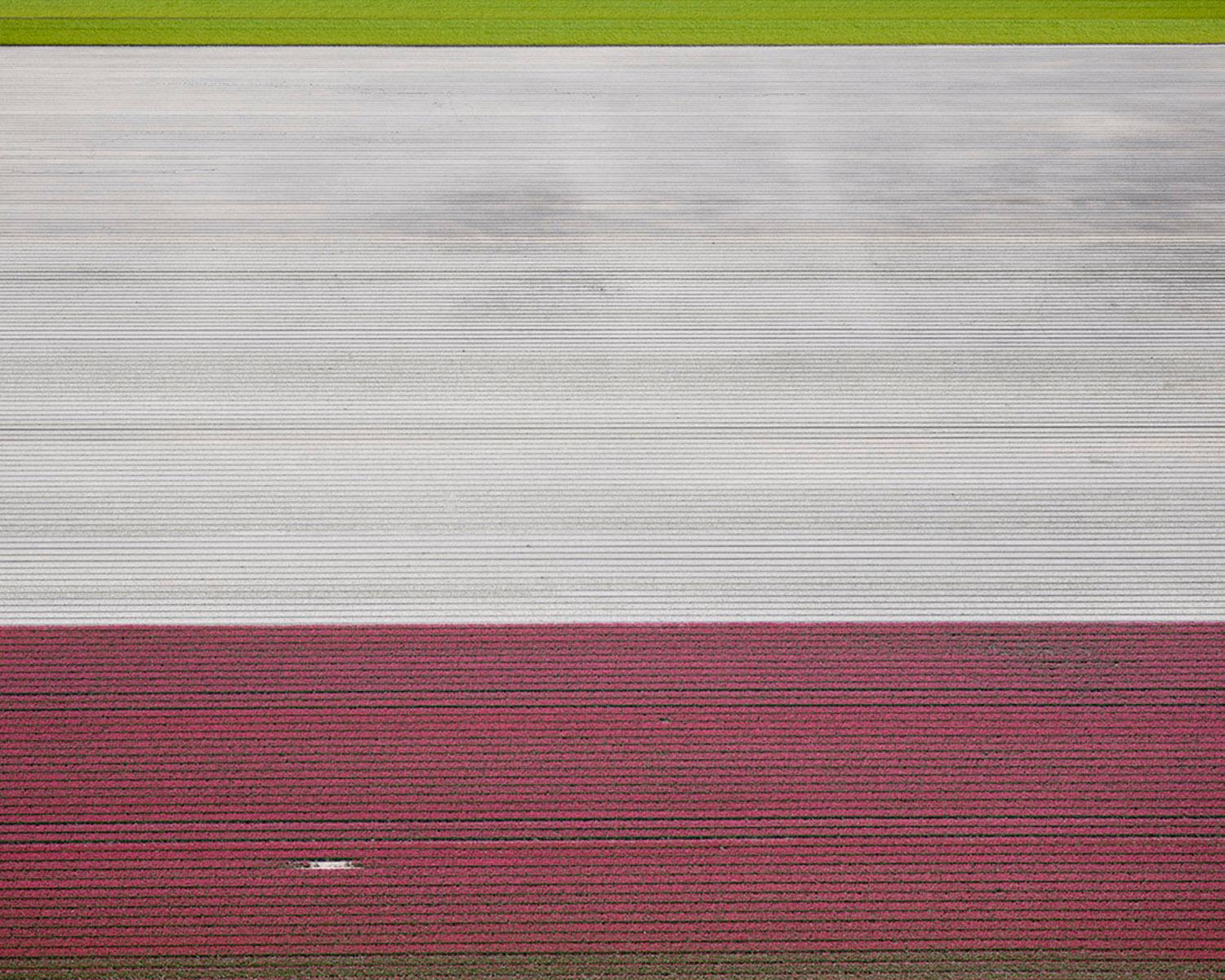VELD 2 Noordoostpolder Flevoland, Framed Archival Print, 2016