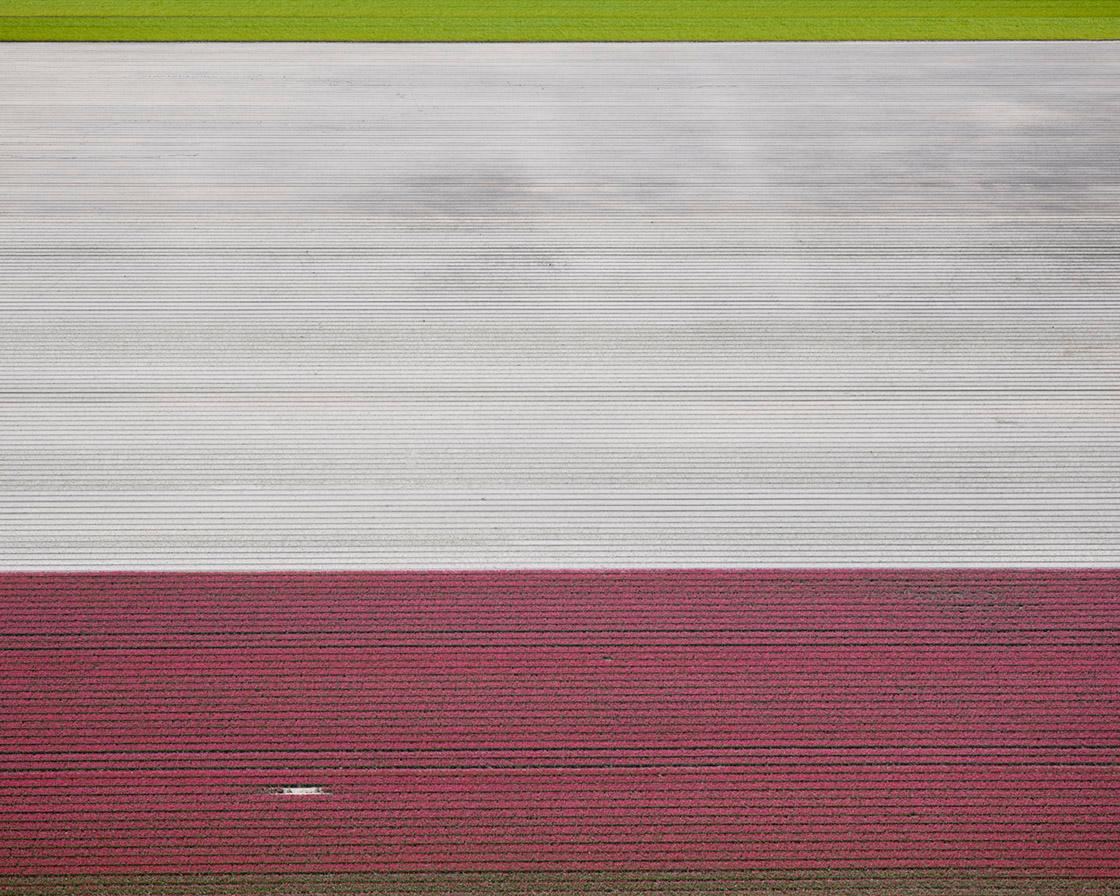 Veld 2, Noordoostpolder, Flevoland, Países Bajos, 2016 - Photograph de David Burdeny