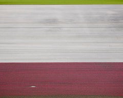 Veld 2, Noordoostpolder, Flevoland, Paesi Bassi, 2016