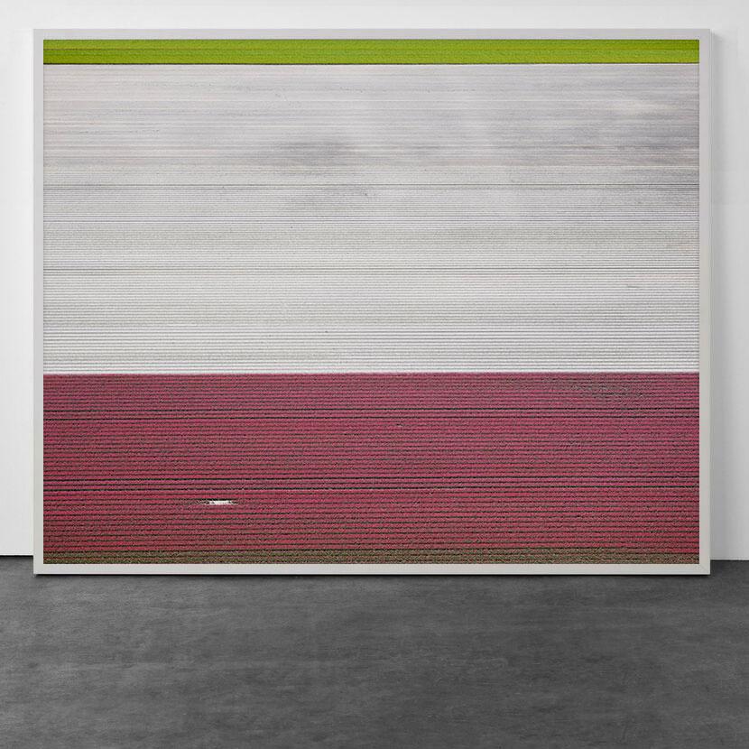 Landscape Photograph de David Burdeny - Veld 2, Noordoostpolder, Flevoland, Países Bajos, 2016