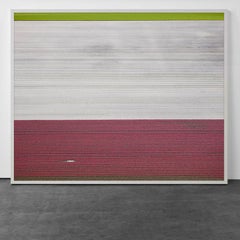 Veld 2, Noordoostpolder, Flevoland, Países Bajos, 2016