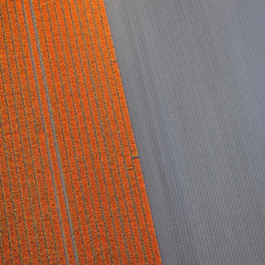 VELD 22, Noordoostpolder Flevoland, Países Bajos - Photograph de David Burdeny