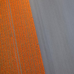 VELD 22, Noordoostpolder Flevoland, The Netherlands
