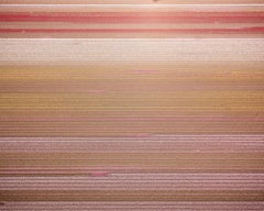 Feld 3