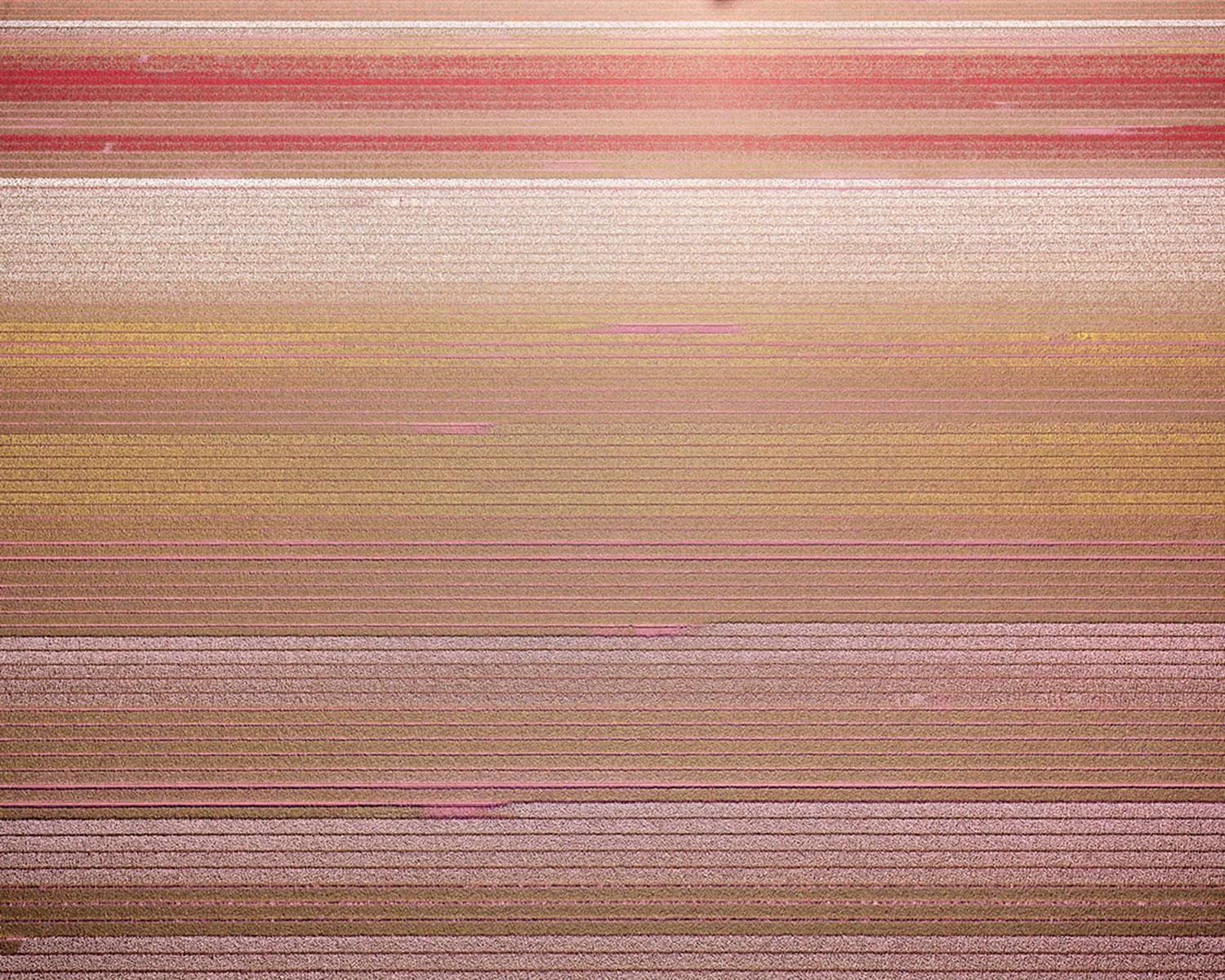 VELD 3 Noordoostpolder Flevoland, gerahmter Archiv-Pigmentdruck