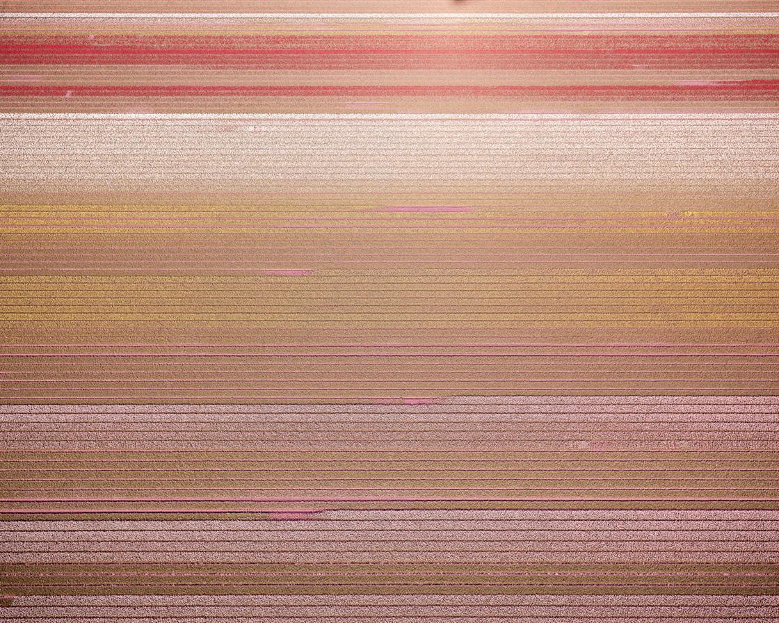 Veld 3, Noordoostpolder, Flevoland, Países Bajos, 2016 - Photograph de David Burdeny