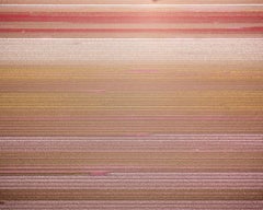 Veld 3, Noordoostpolder, Flevoland, The Netherlands, 2016