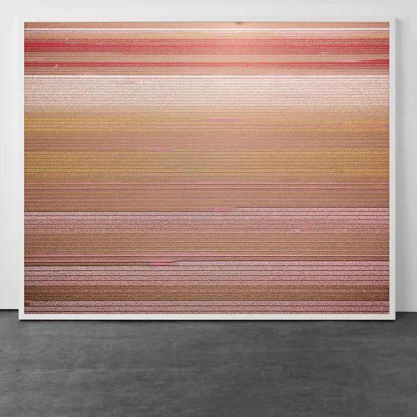 Color Photograph de David Burdeny - Veld 3, Noordoostpolder, Flevoland, Países Bajos, 2016