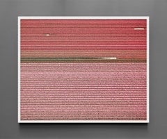 VELD 4 Noordoostpolder Flevoland, gerahmter Archivdruck, 2016