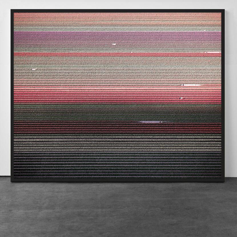 Landscape Photograph de David Burdeny - Veld 5, Noordoostpolder, Flevoland, Países Bajos, 2016