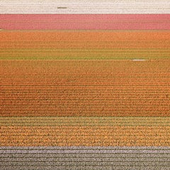 VELD 6, Noordoostpolder Flevoland, Países Bajos