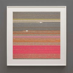 VELD 6, Noordoostpolder Flevoland, Países Bajos