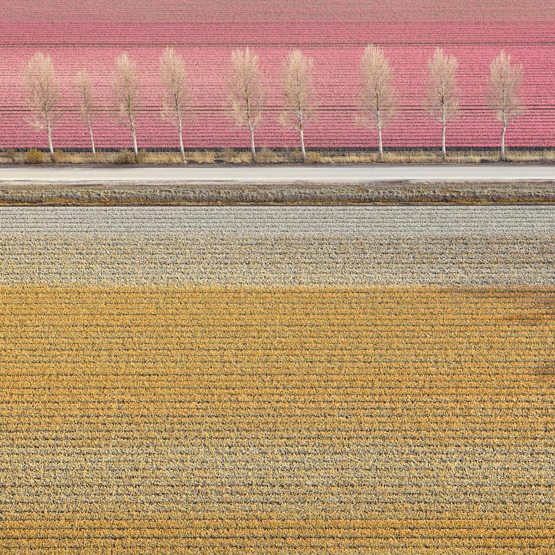 VELD 7, Noordoostpolder Flevoland, Países Bajos - Photograph de David Burdeny