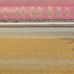 VELD 7, Noordoostpolder Flevoland, The Netherlands