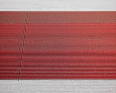 VELD 8 Noordoostpolder Flevoland, Framed Archival Pigment Print, 2016