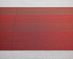 Veld 8, Noordoostpolder, Flevoland, The Netherlands, 2016