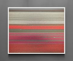 VELD 9 Noordoostpolder, Flevoland, tirage pigmentaire d'archive encadré, 2016