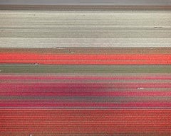 VELD 9 Noordoostpolder, Flevoland, tirage pigmentaire d'archive encadré, 2016
