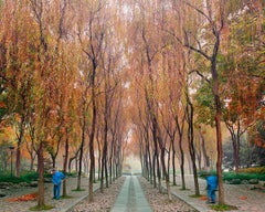 Lago dell’Ovest, Hangzhou, Cina – Stampa a pigmenti d’archivio, incorniciata, tiratura di 10 esemplari