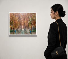West Lake Hangzhou China Archival Pigment Print, Framed, Edition of 7