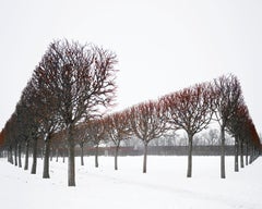 Winter Red,  Catherine Palace, Pushkin, Russia, Photography 2015, Printed After