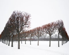 Winter Red, Catherine Palace, Russia