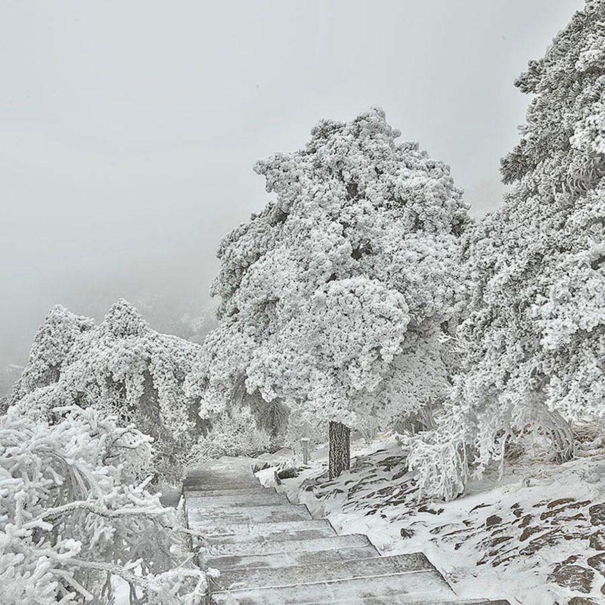 Blanco invierno - Photograph de David Burdeny