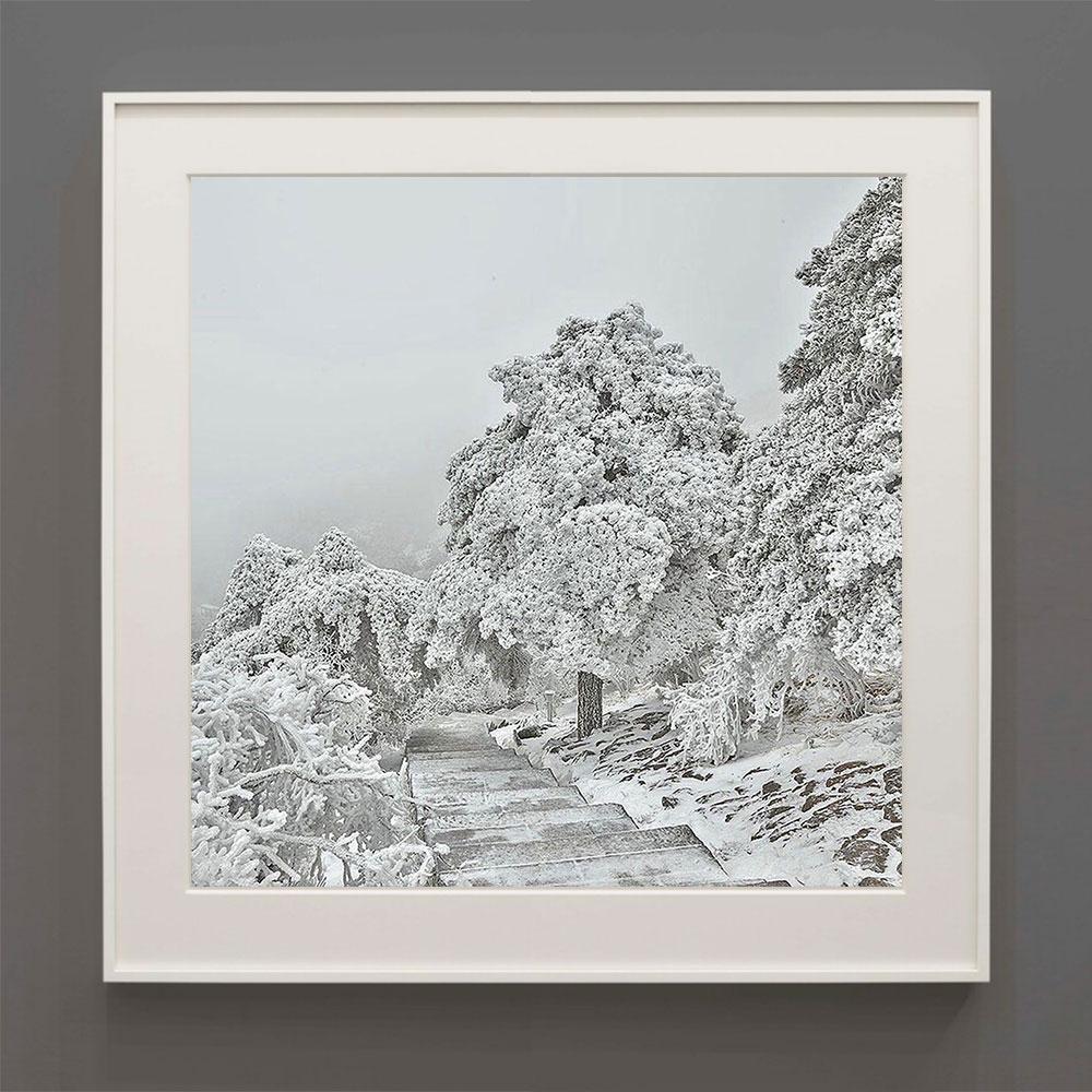 Landscape Photograph de David Burdeny - Blanco invierno