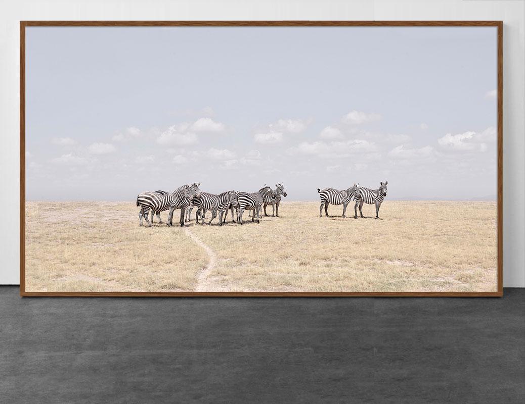 Plaines de Zebra, Maasai Mara, Kenya, Afrique - Photograph de David Burdeny