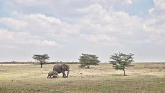 David Burdeny - David Burdeny-Elephant Mother and Calf, Maasai Mara, Kenya, 2018, Printed After David Burdeny-Elephant Mother and Calf, Maasai Mara, Kenya, 2018, Printed After