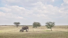 Mère et veau David Burdeny-Elephant, Maasai Mara, Kenya, 2018, imprimé d'après